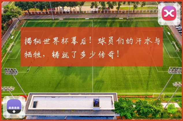 揭秘世界杯幕后！球员们的汗水与牺牲，铸就了多少传奇！