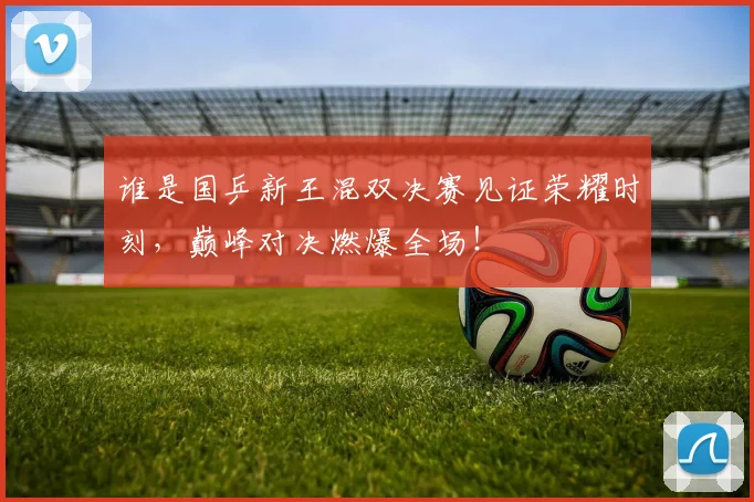 谁是国乒新王混双决赛见证荣耀时刻，巅峰对决燃爆全场！